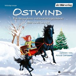 Ein besonderes Weihnachtsgeschenk & Seehunde in Not / Ostwind für Erstleser Bd.13 & 15 - Thilo
