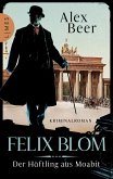 Der Häftling aus Moabit / Felix Blom Bd.1