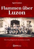 Flammen über Luzón (eBook, PDF)