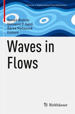 Waves in Flows