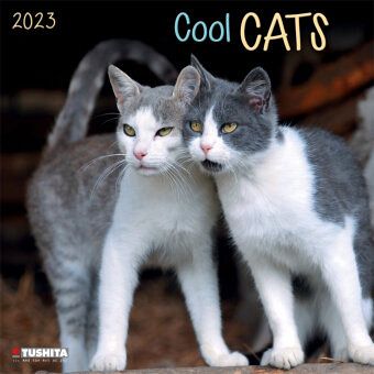 Cool Cats 2023 Cool Cats 2023