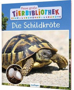 Die Schildkröte / Meine große Tierbibliothek Bd.25 - Gutjahr, Axel