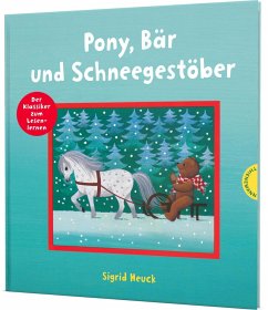 Pony, Bär und Schneegestöber - Heuck, Sigrid