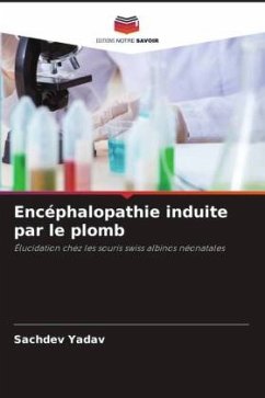 Encéphalopathie induite par le plomb - Yadav, Sachdev