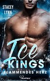 Ice Kings – Flammendes Herz (eBook, ePUB)