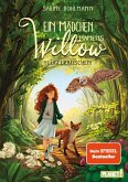 Flügelrauschen / Ein Mädchen namens Willow Bd.3 (eBook, ePUB)