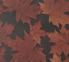 Cover Sielunmaisemat 2 (eBook, ePUB)