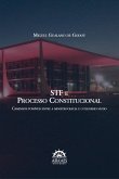 STF e processo constitucional (eBook, ePUB)