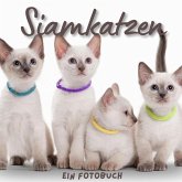 Siamkatzen Siamkatzen