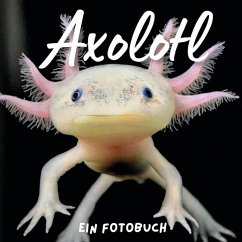 Axolotl - Hübsch, Bibi