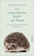Die unglaubliche Kraft der Natur... - Bild 1