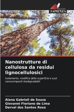 Nanostrutture di cellulosa da residui lignocellulosici - Souza, Alana Gabrieli de;Lima, Giovanni Floriano de;Rosa, Derval dos Santos