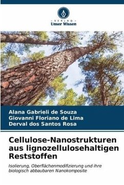 Cellulose-Nanostrukturen aus lignozellulosehaltigen Reststoffen - Souza, Alana Gabrieli de;Lima, Giovanni Floriano de;Rosa, Derval dos Santos