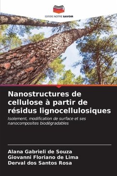 Nanostructures de cellulose à partir de résidus lignocellulosiques - Souza, Alana Gabrieli de;Lima, Giovanni Floriano de;Rosa, Derval dos Santos