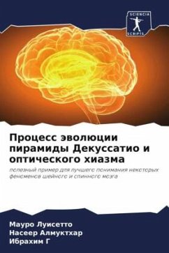 Process äwolücii piramidy Dekussatio i opticheskogo hiazma - Luisetto, Mauro;Almukthar, Naseer;G, Ibrahim