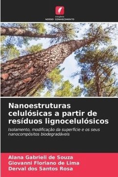 Nanoestruturas celulósicas a partir de resíduos lignocelulósicos - Souza, Alana Gabrieli de;Lima, Giovanni Floriano de;Rosa, Derval dos Santos