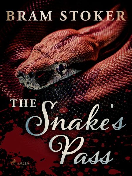 The Snake's Pass (eBook, ePUB)