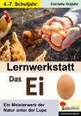 Lernwerkstatt Das Ei (eBook, PDF)
