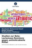 Studien zur Beta-Lactamase-Resistenz gegen antimikrobielle Mittel