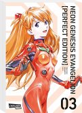 Neon Genesis Evangelion - Collector's Edition Bd.3