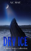 Dry Ice (eBook, ePUB)