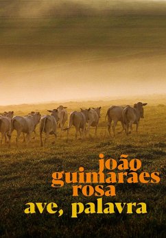 Ave Palavra (eBook, ePUB) - Rosa, João Guimarães; Alcantara, Araquém