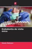 Endodontia de visita única