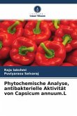 Phytochemische Analyse, antibakterielle Aktivität von Capsicum annuum.L