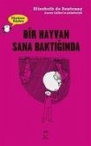 Bir Hayvan Sana Baktiginda