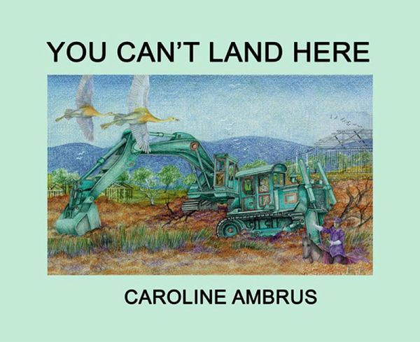 You Can't Land Here (eBook, ePUB)