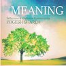 Meaning (MP3-Download) - Bild 1