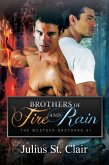 The Weather Brothers (Julius St Clair Short Stories, #12) (eBook, ePUB)