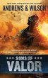 Sons of Valor (eBook, ePUB) - Bild 1