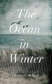 The Ocean in Winter (eBook, ePUB)