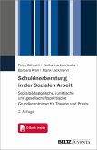 Schuldnerberatung in der Sozialen Arbeit (eBook, PDF)