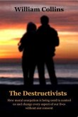The Destructivists (eBook, ePUB)