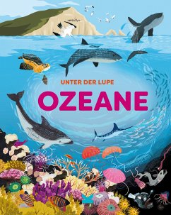 Unter der Lupe: Ozeane - Richards, Jon;Bloggs, Josy