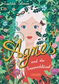 Agnes und der Traumschlüssel (eBook, ePUB)