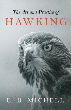 Cover The Art and Practice of Hawking (eBook, ePUB)