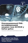 Oposredowannyj RNK-interferenciej nokdaun gena ACVR2B u Gallus gallus