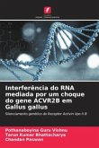 Interferência do RNA mediada por um choque do gene ACVR2B em Gallus gallus