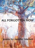 All Forgotten Now (eBook, ePUB)