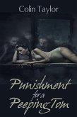 Punishment for a Peeping Tom (eBook, ePUB)