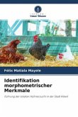 Identifikation morphometrischer Merkmale