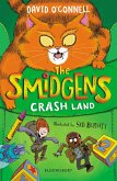 The Smidgens Crash-Land (eBook, ePUB)