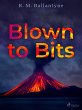 Blown to Bits (eBook, ePUB) - Bild 1