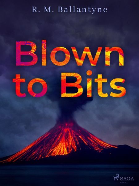 Blown to Bits (eBook, ePUB)