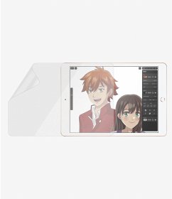 PanzerGlass Case Friendly GraphicPaper iPad 10.2 2019/2020
