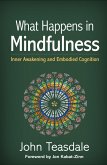 What Happens in Mindfulness (eBook, ePUB)