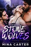 Taken by the Stone Wolves (Shadow Cities Shifters, #1) (eBook, ePUB)